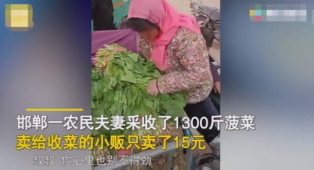 农村365的第一期视频,一个普通农民用手机拍出了什么? 农村365的第一期视频,一个普通农民用手机拍出了什么?